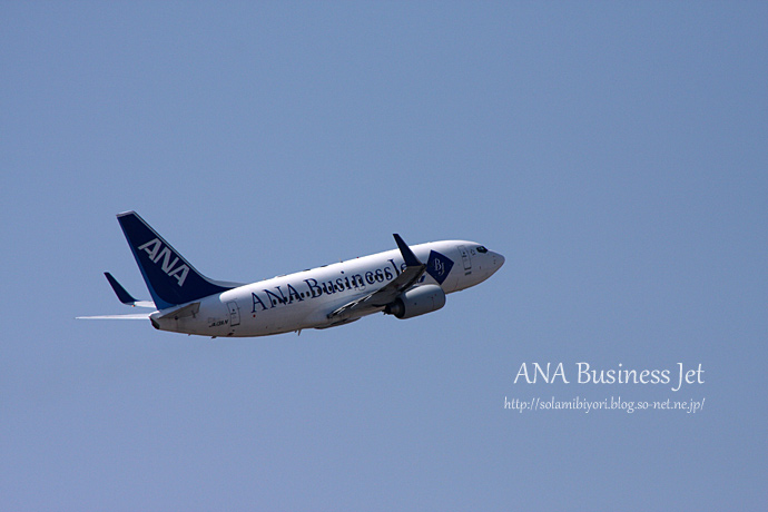 ANA Business Jet