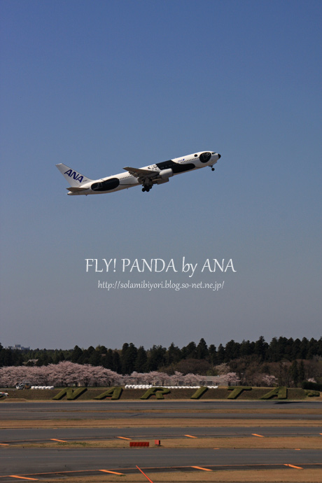 ANA　FLY! PANDA