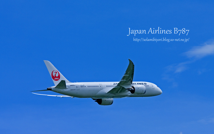 Japan Airlines B787