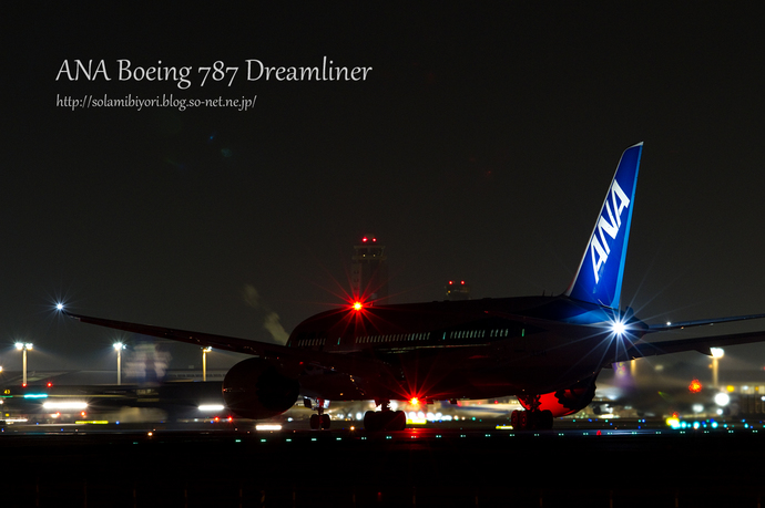 ANA Boeing 787 Dreamliner